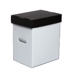 Graded Comic Book Storage Boxes