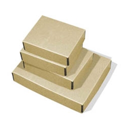 Archival Print & Poster Storage Boxes - Tan