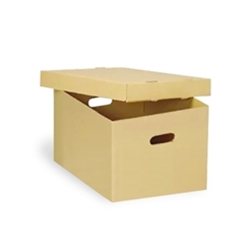 Archival File Boxes