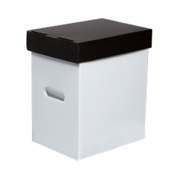 Lobby Card Storage Boxes & Dividers
