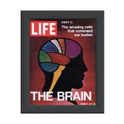 Life Magazine Frames