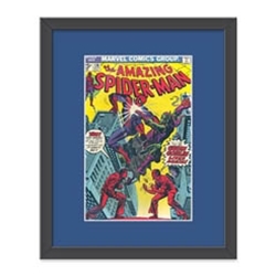 Matted Comic Book Frame Kits